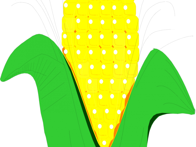 Corn Clipart Indian Corn - Clip Art (640x480), Png Download