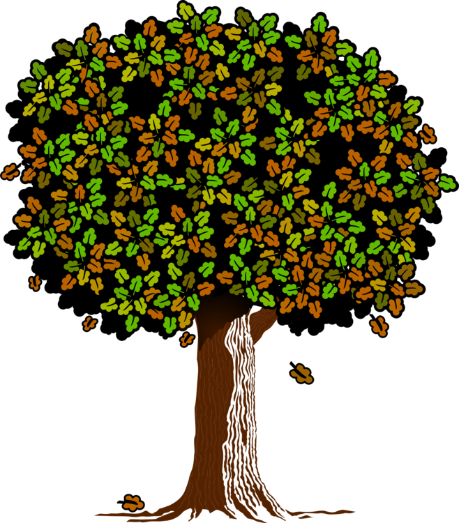 All Photo Png Clipart - Clip Art (658x750), Png Download