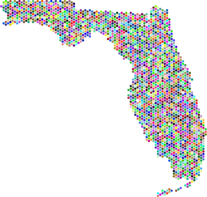 Florida State Contour U - Florida States (786x750), Png Download