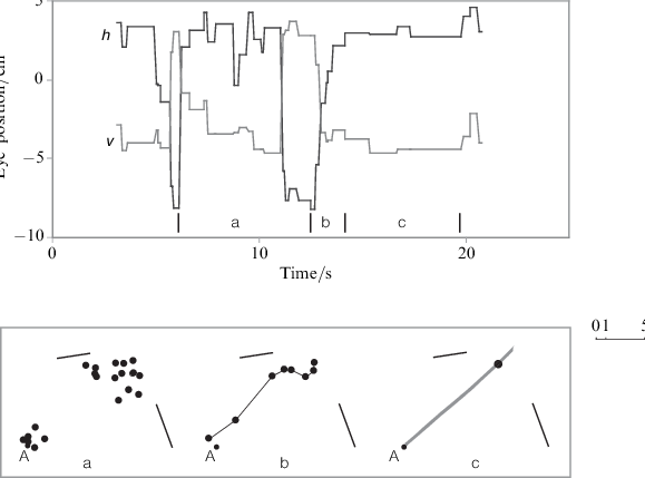 Time Sequence And Fixation Path For Drawing A Line - Diagram (579x429), Png Download