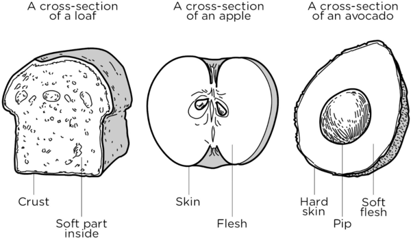Three Different Possible Models Of The Layers Of Earth - Cartoon (600x348), Png Download
