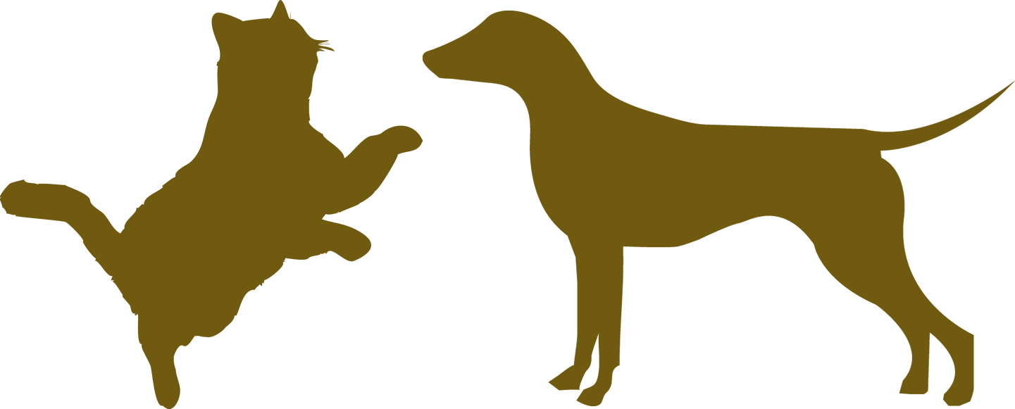 Our Proud Partners - Cat (1441x581), Png Download