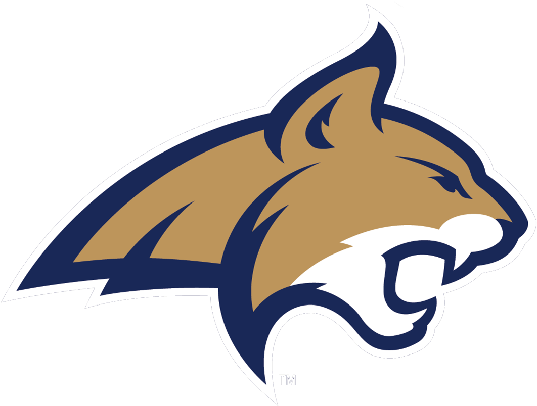 Story Links - Bobcats Montana State Football (1200x1200), Png Download