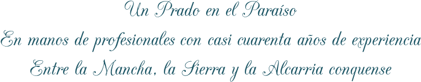 Tres Líneas 2 Sin Fondo - Parallel (960x720), Png Download