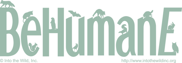 Picture - Into The Wild, Inc. (633x222), Png Download