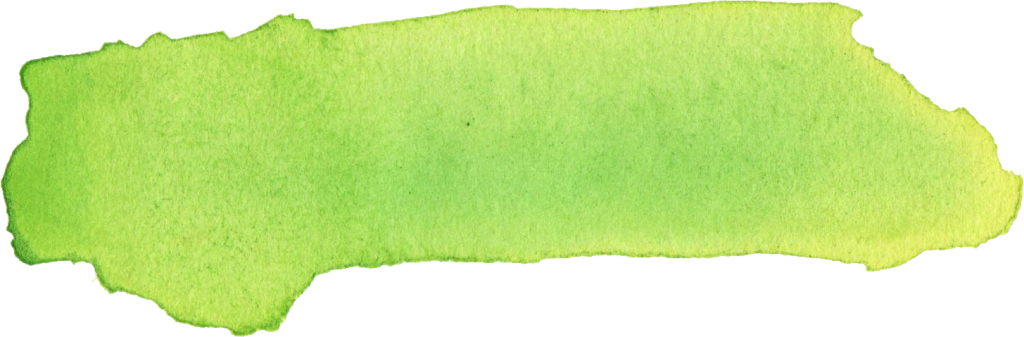 Png File Size - Grass (1024x337), Png Download
