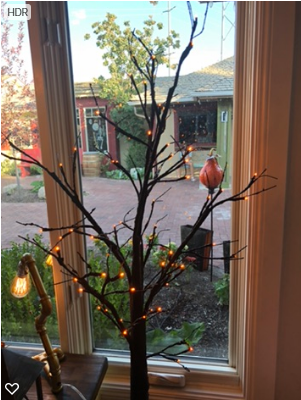 6ft Lighted Spooky Tree - Tree (407x407), Png Download