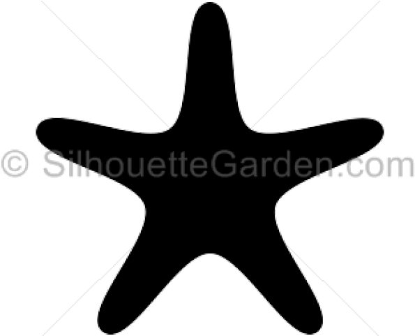 Starfish Clipart Tropical - Starfish Silhouette (640x480), Png Download