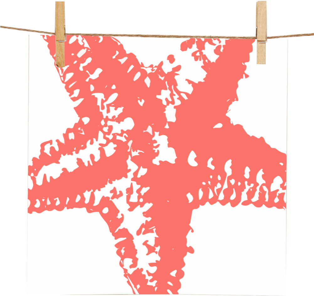 Starfish Silhouette Coral - Thong (1000x1000), Png Download