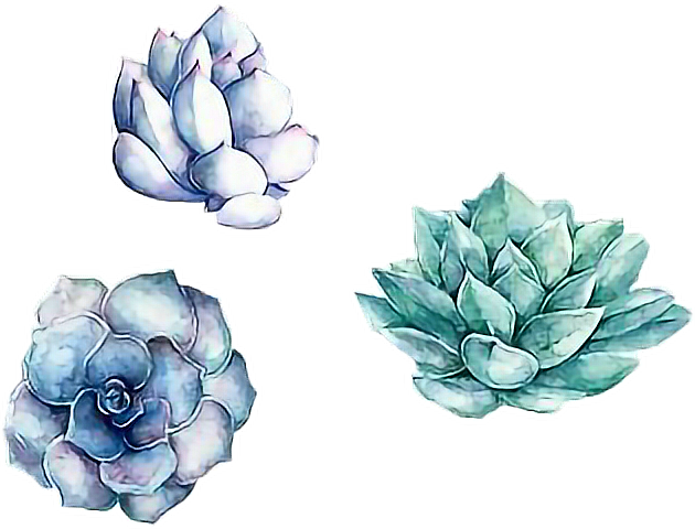 Blue And Green Aesthetic (630x480), Png Download