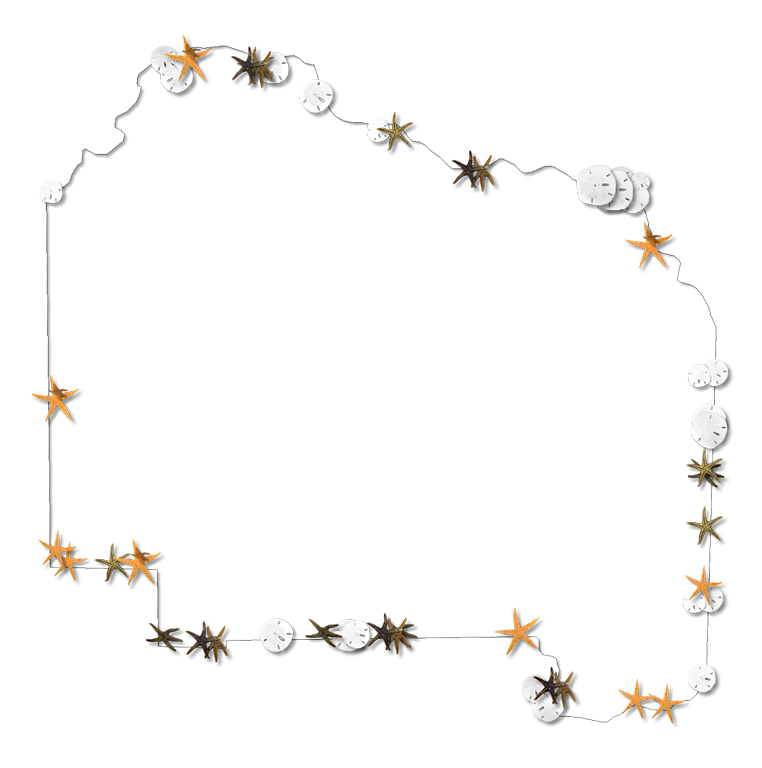 Starfish Outline Clip Art - Alachua (762x768), Png Download