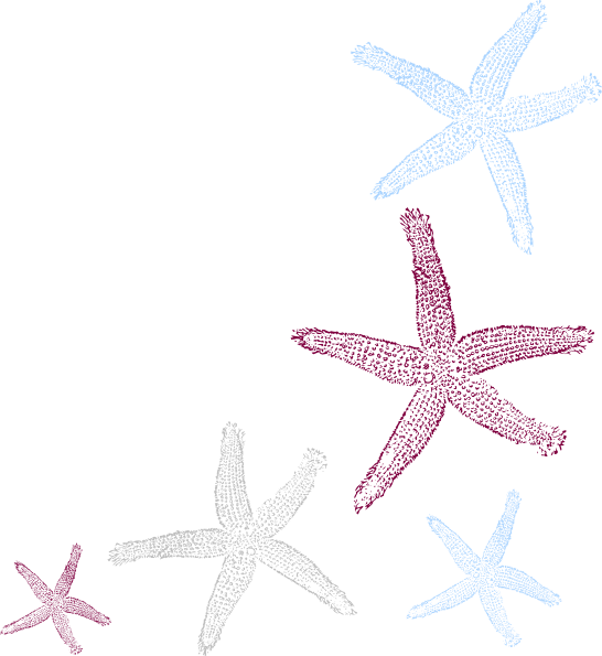 Pin Starfish Clip Art Png - Private Listing For Pam 2 Pair Custom Angela Style (546x595), Png Download