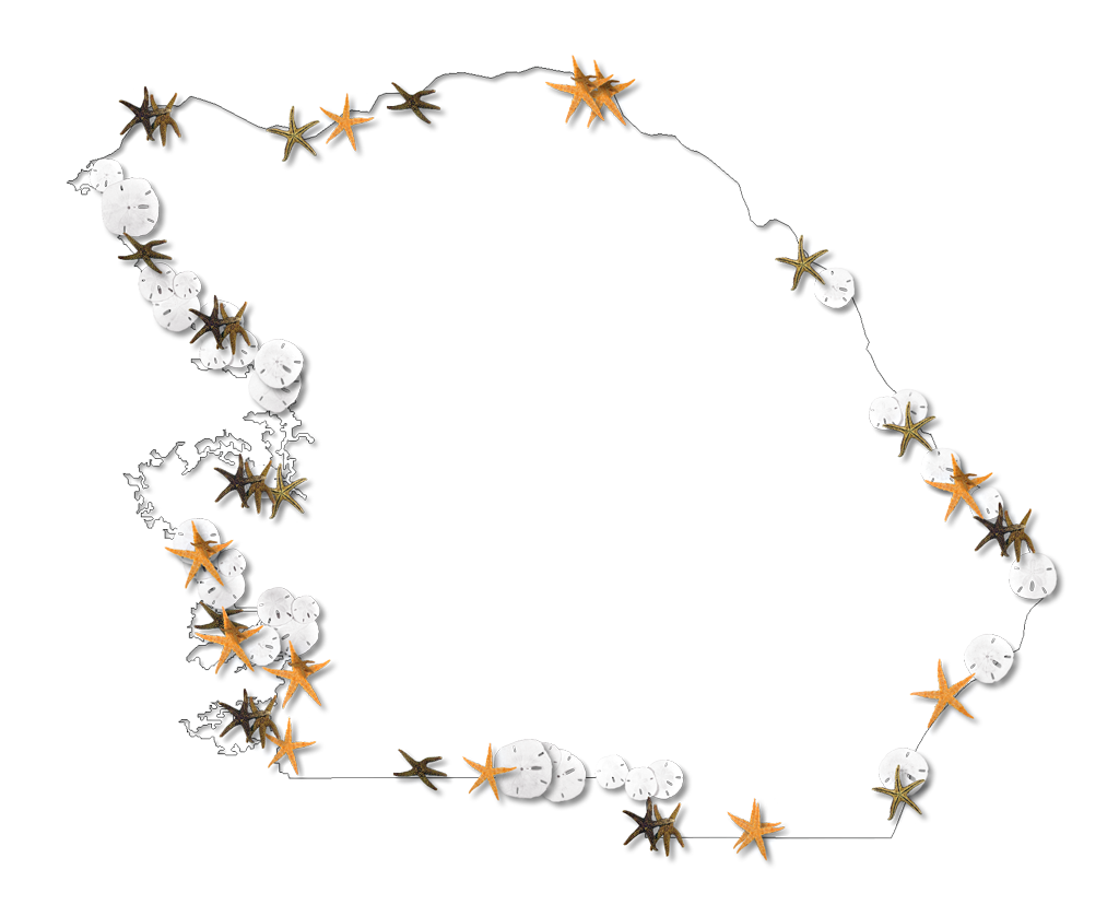 Starfish Clipart Fancy - Clip Art (1024x828), Png Download