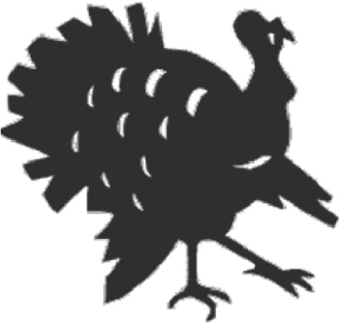 Turkey - Domesticated Turkey (500x500), Png Download