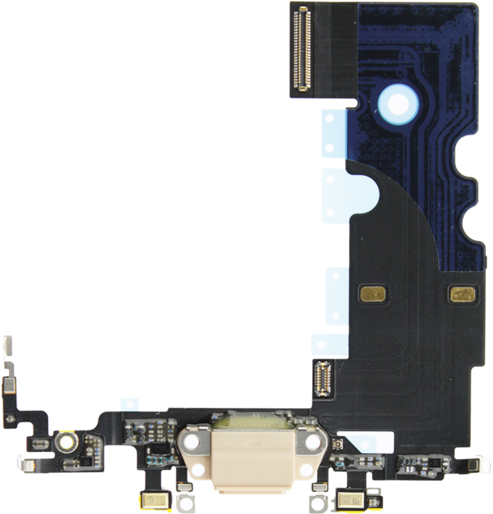 Iphone 8 Lightning Connector Assembly (1024x1024), Png Download
