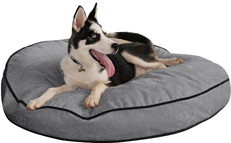 Smart Pup Round Dog Beds (621x426), Png Download