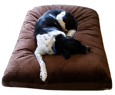 Dog Bed (600x315), Png Download