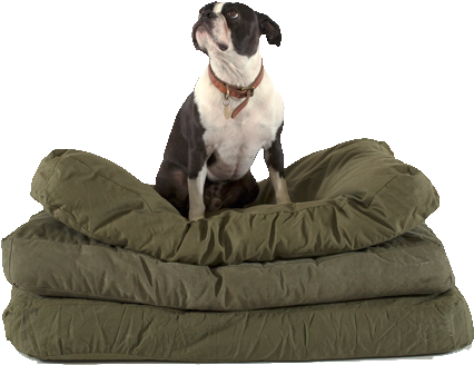 Canvas Dog Bed - Dog (600x400), Png Download