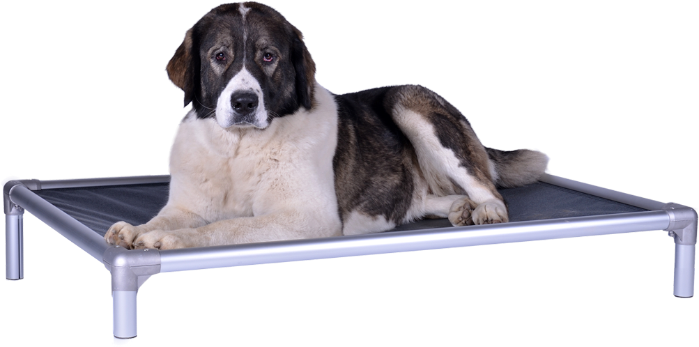 Kuranda Dog Beds - Orthopedisch Hondenbed (1002x618), Png Download