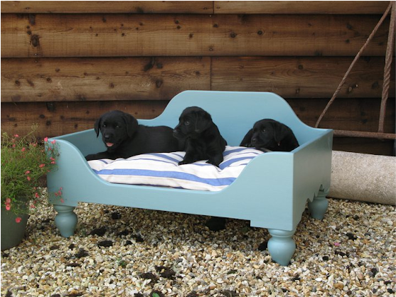 Luxury Raised Wooden Dog Beds - Wooden Dog Beds (558x521), Png Download