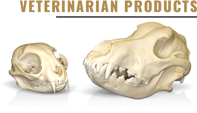 Category - Skull (787x452), Png Download