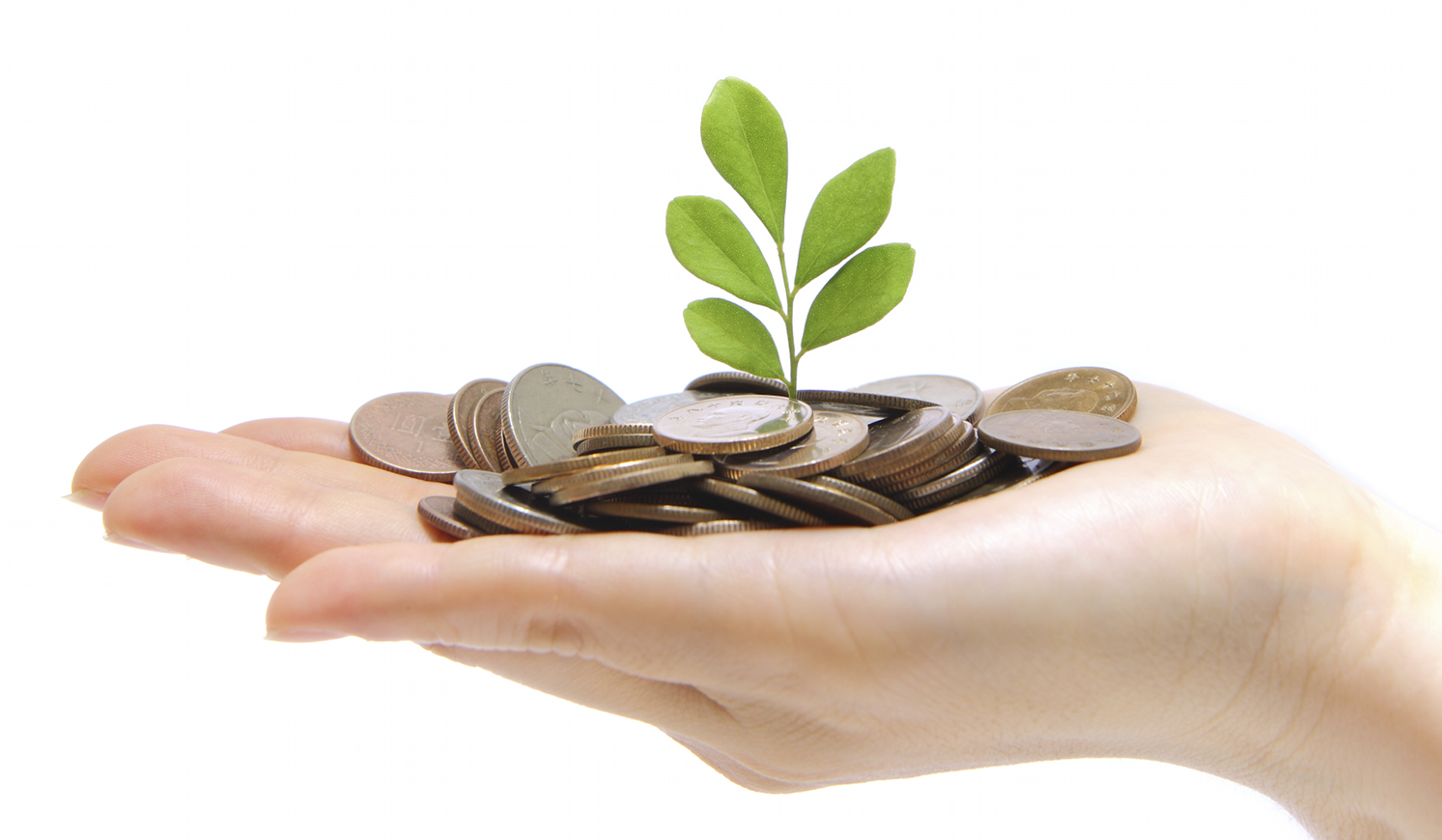 Saving - Cpf Investment (2000x960), Png Download
