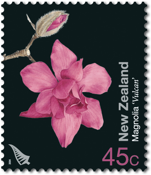 Product Listing For Garden Flowers - Cattleya (600x600), Png Download