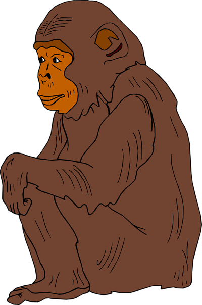 Chimp Cliparts - Ape Clipart (400x604), Png Download
