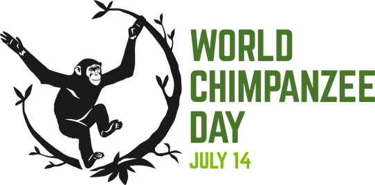 In Honor Of Humans' Closest Cousin, World Chimpanzee - July 14 What Day (542x267), Png Download