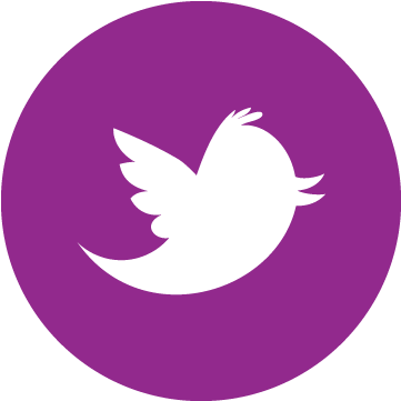 Twitter Logo Transparent Background Png 00am To - Twitter Icon Png Grey Round (378x378), Png Download