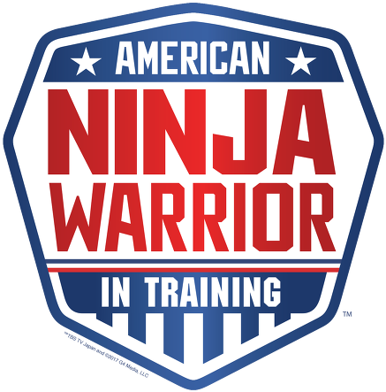 Drag The Image Directly - American Ninja Warrior (500x601), Png Download