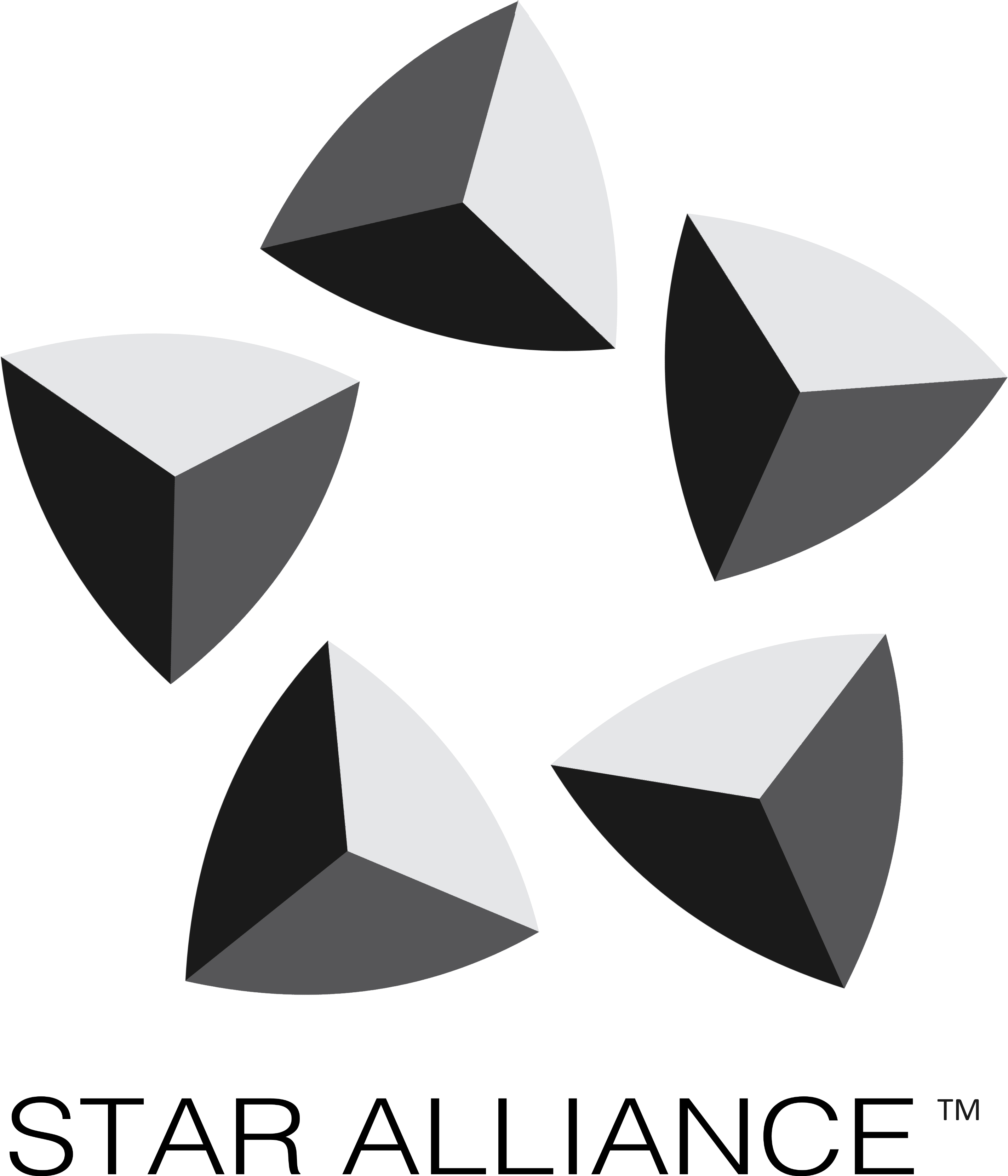 Star Alliance Launches “connection Service” At Chicago - Star Alliance Logo Png (3225x3545), Png Download