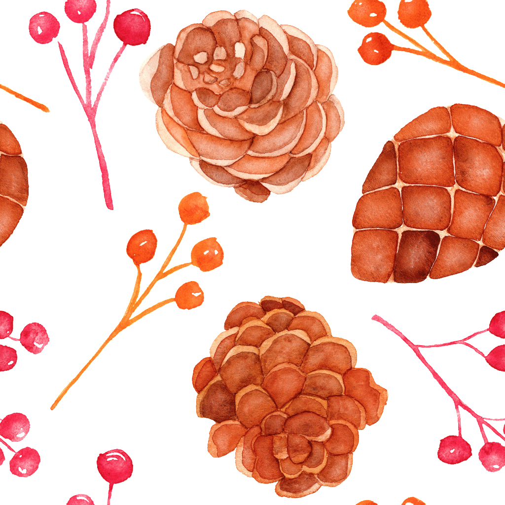 Hand Drawn Cartoon Pine Cone Background Illustration - Illustration (1024x1024), Png Download