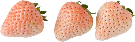 White Balloon Png - Strawberry Tumblr Transparent (500x500), Png Download