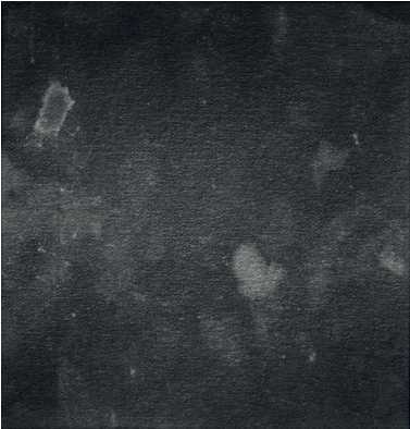 What Is A Dirty Movie - Monochrome (433x529), Png Download