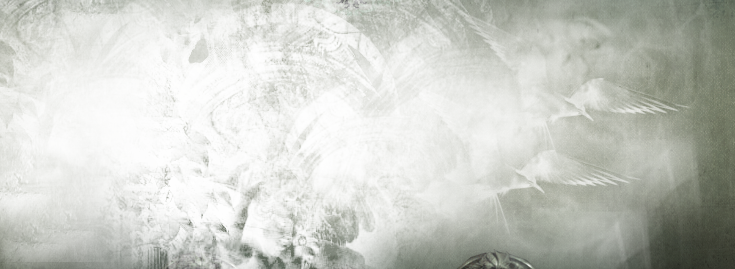 Dirt Png Dirt - Snow (735x269), Png Download