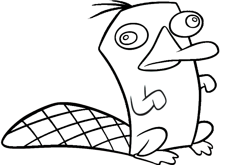 Share This Image - Perry The Platypus Outline (800x534), Png Download