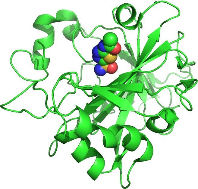 File - 4lu3 - Perry The Platypus (800x800), Png Download