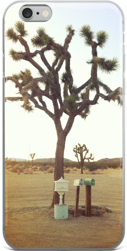 Joshua Tree Iphone Case - Mockup (1000x1000), Png Download