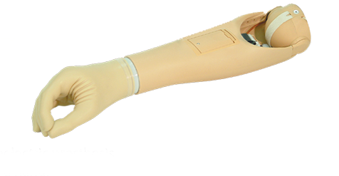 Shoulder Disarticulation Prosthesis Transhumeral Prosthesis - Transradial Prosthesis (488x350), Png Download