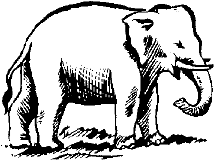 Indian Election Symbol Elephant 2 - Asian Elephant Symbol (756x636), Png Download