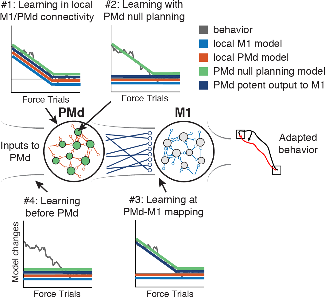 We Considered 4 Hypotheses & Examined Them One By One - Diagram (1061x985), Png Download
