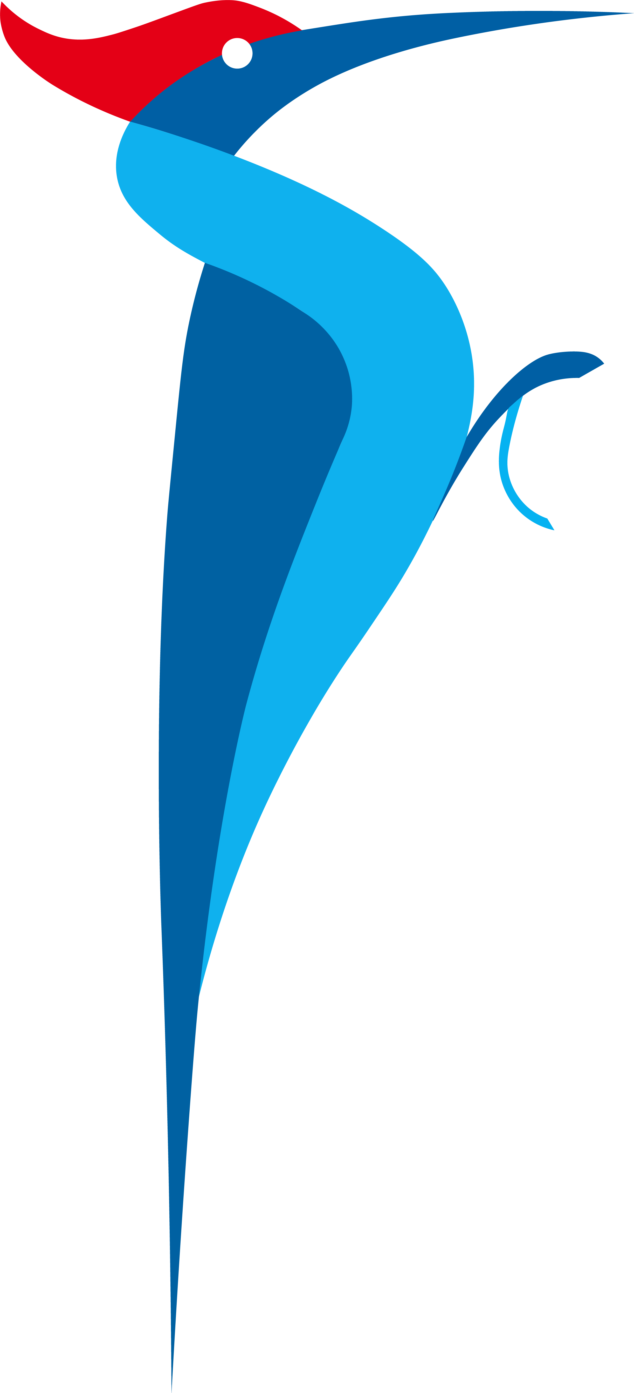We Know That Our Woodpecker May Be A Little Long For - Strikedeck, Inc. (2444x5366), Png Download