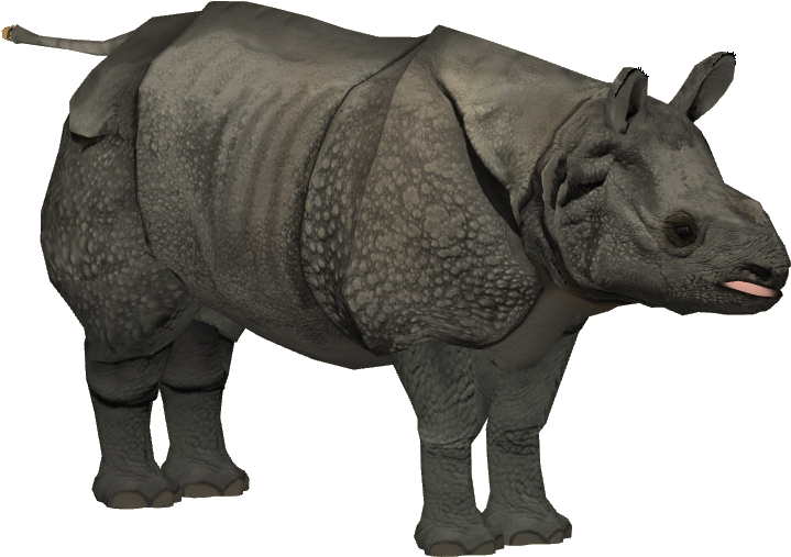 Javan Rhinoceros Adult F - Zt2 Javan Rhino Remake (718x718), Png Download