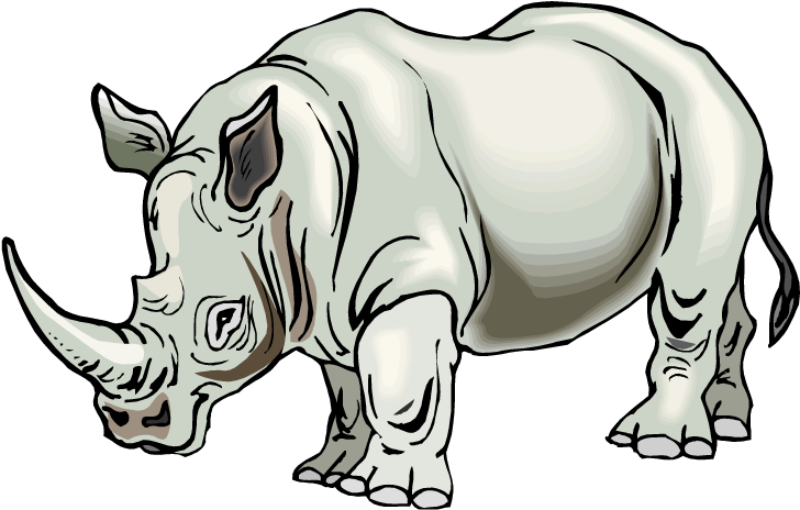Rhino-16 - Rhino Clipart (750x482), Png Download