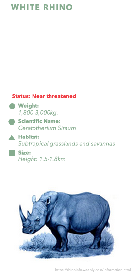 Info Bar - White Rhinoceros (279x568), Png Download