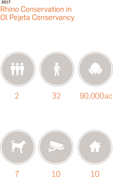 Black Rhinoceros - Australia Zoo (387x727), Png Download