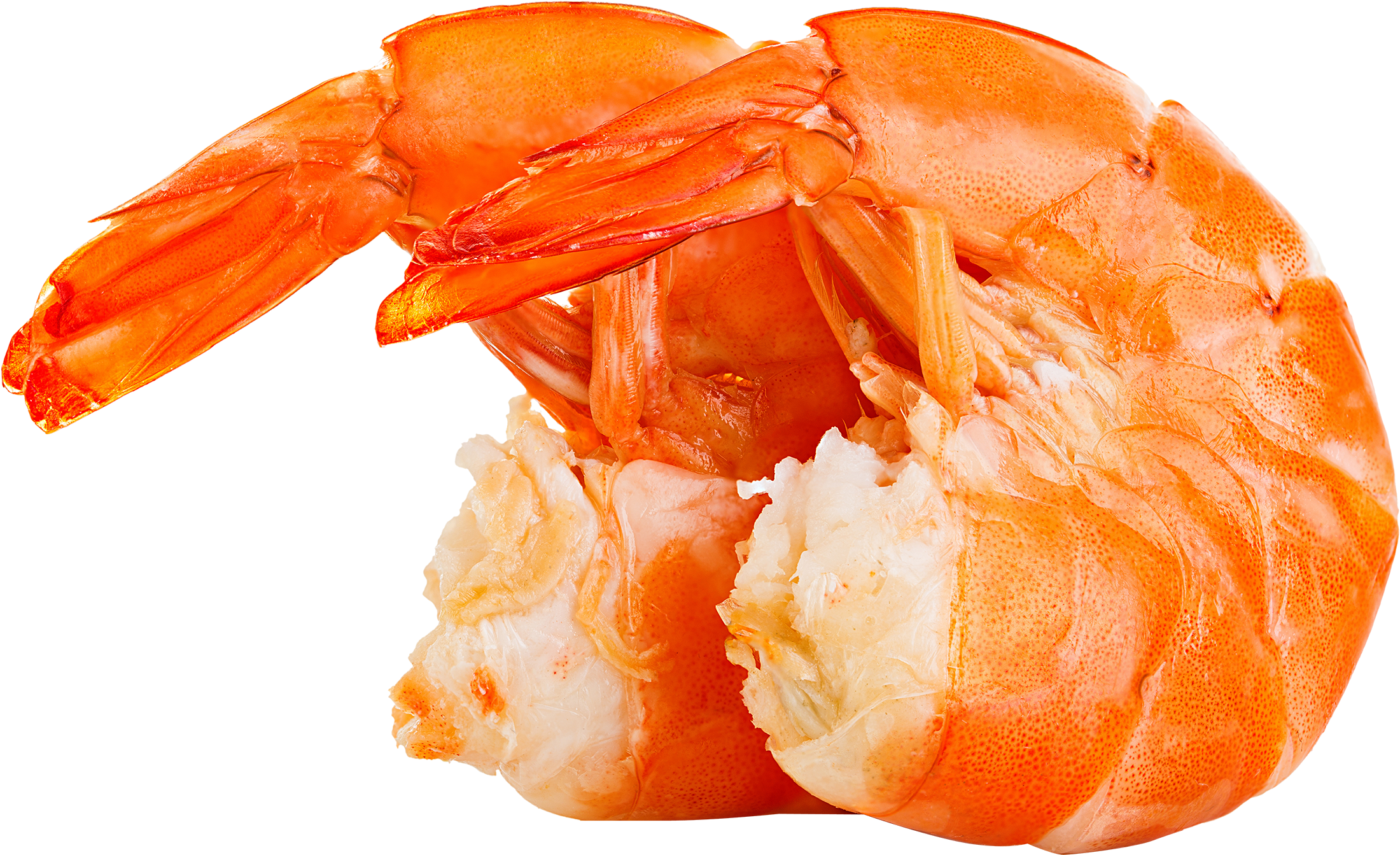 Download Transparent Shrimp Huge - Full Size PNG Image - PNGkit