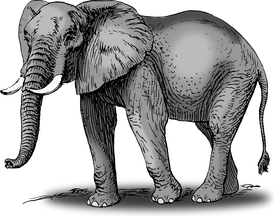 Download How To Set Use Colored Elephant Clipart Full Size Png