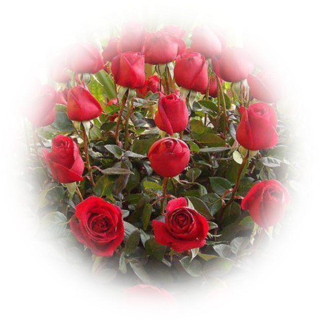 5 Trims Flowers Graphics - 玫瑰 花 图片 (698x699), Png Download